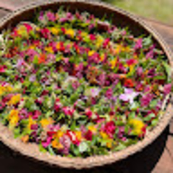 Meet your Posher, Piʻinaʻe - Picture 1 of 1